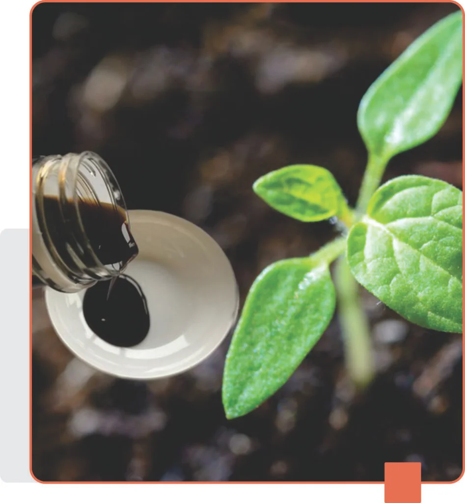 "Bio stimulant manufacturers in india "