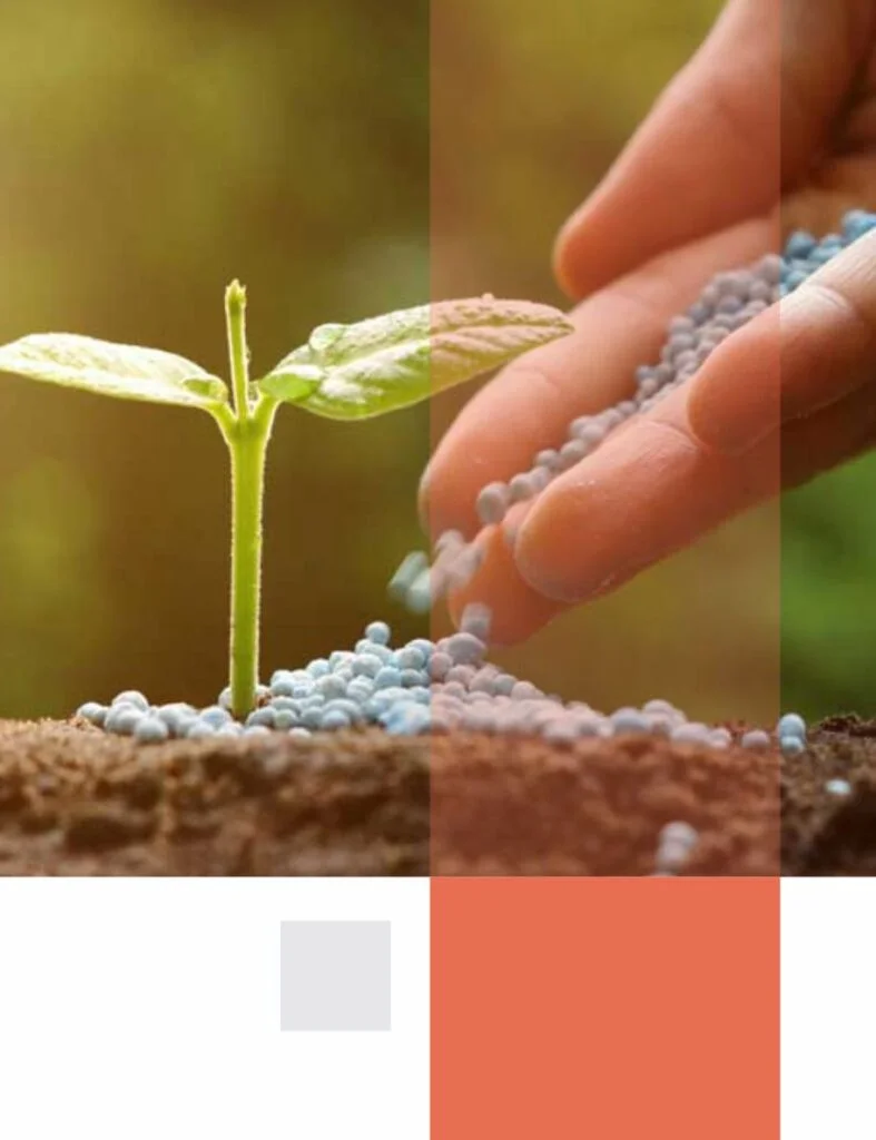 "Bio stimulant suppliers in Gujarat"