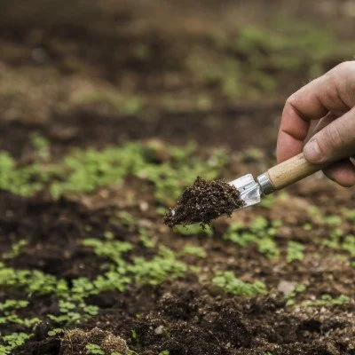 "Humic acid suppliers in Ahmedabad"