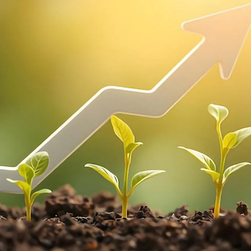 "Bio stimulant suppliers in Ahmedabad "